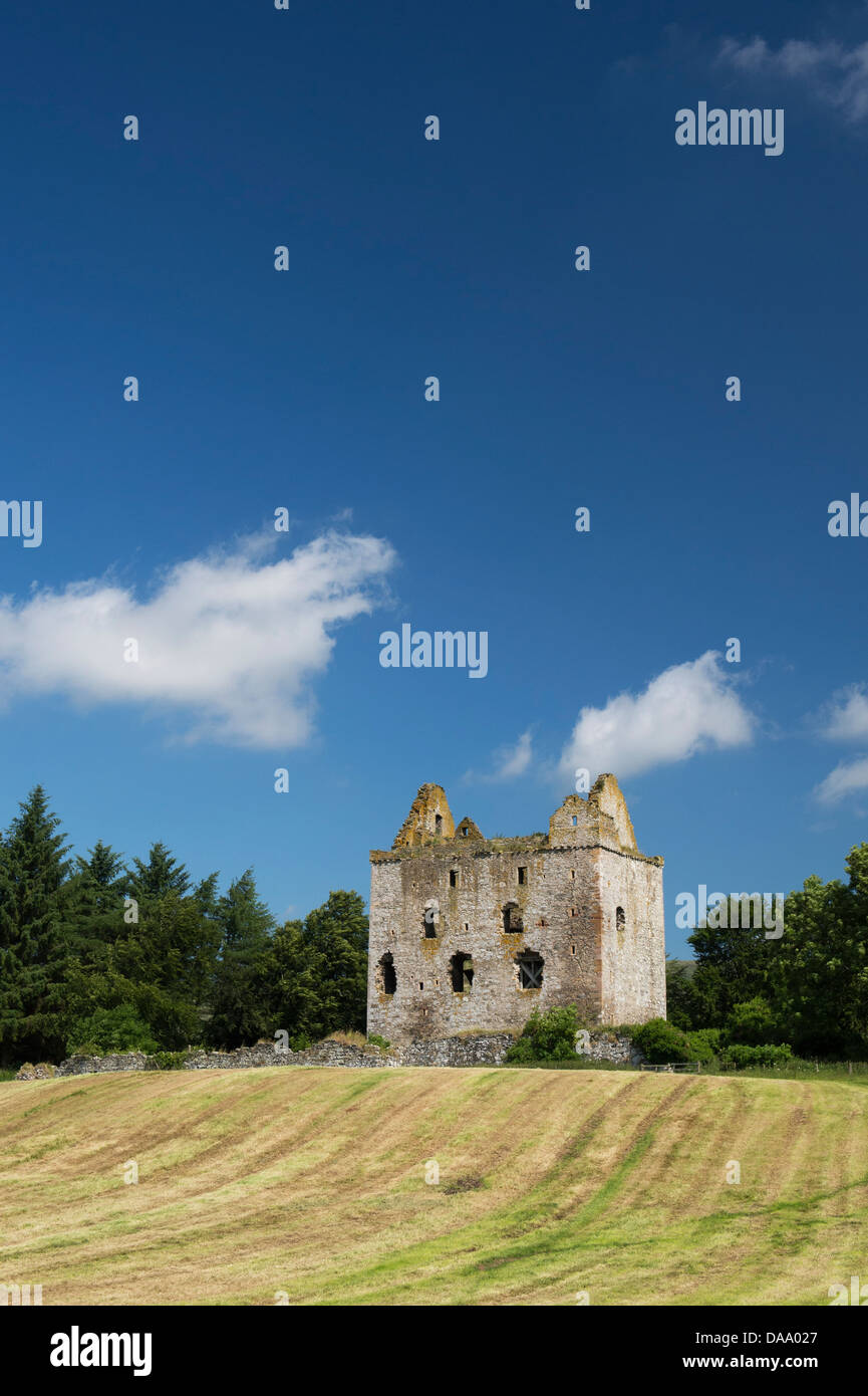 Newark tower. Bowhill House estate, Selkirkshire. Scotland Stock Photo