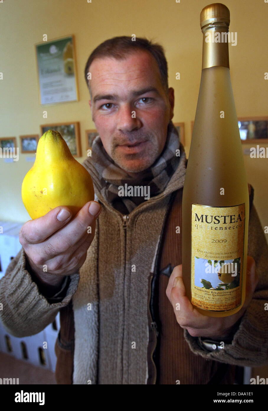 Quince fruit farmer Marius Wittur presents a range of quince fruits and a bottel of sparkling wine made of quince at his house in Untereisenheim, Germany, 18 November 2010. Wittur wants to bring back the traditional fruit with its worldwide 400 species to German gardens. Photo: Karl-Josef Hildenbrand Stock Photo