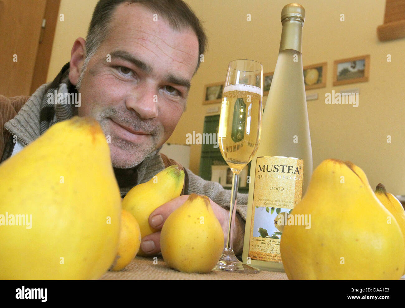 Quince fruit farmer Marius Wittur presents a range of quince fruits and a bottel of sparkling wine made of quince at his house in Untereisenheim, Germany, 18 November 2010. Wittur wants to bring back the traditional fruit with its worldwide 400 species to German gardens. Photo: Karl-Josef Hildenbrand Stock Photo