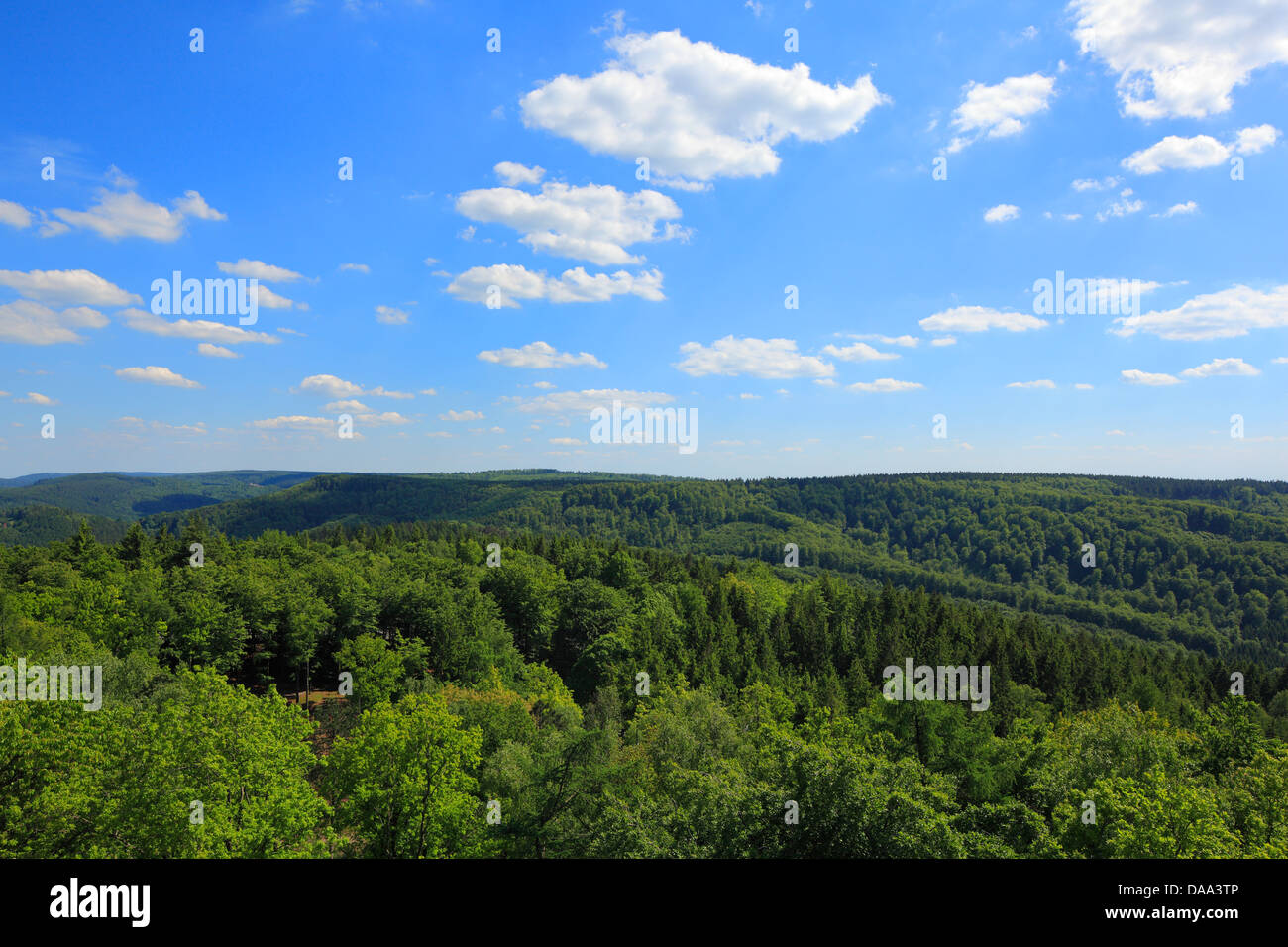 Waldlandschaft, Blick vom Hermannsdenkmal zum Lippischen Wald, Detmold, Teutoburger Wald, Nordrhein-Westfalen Stock Photo