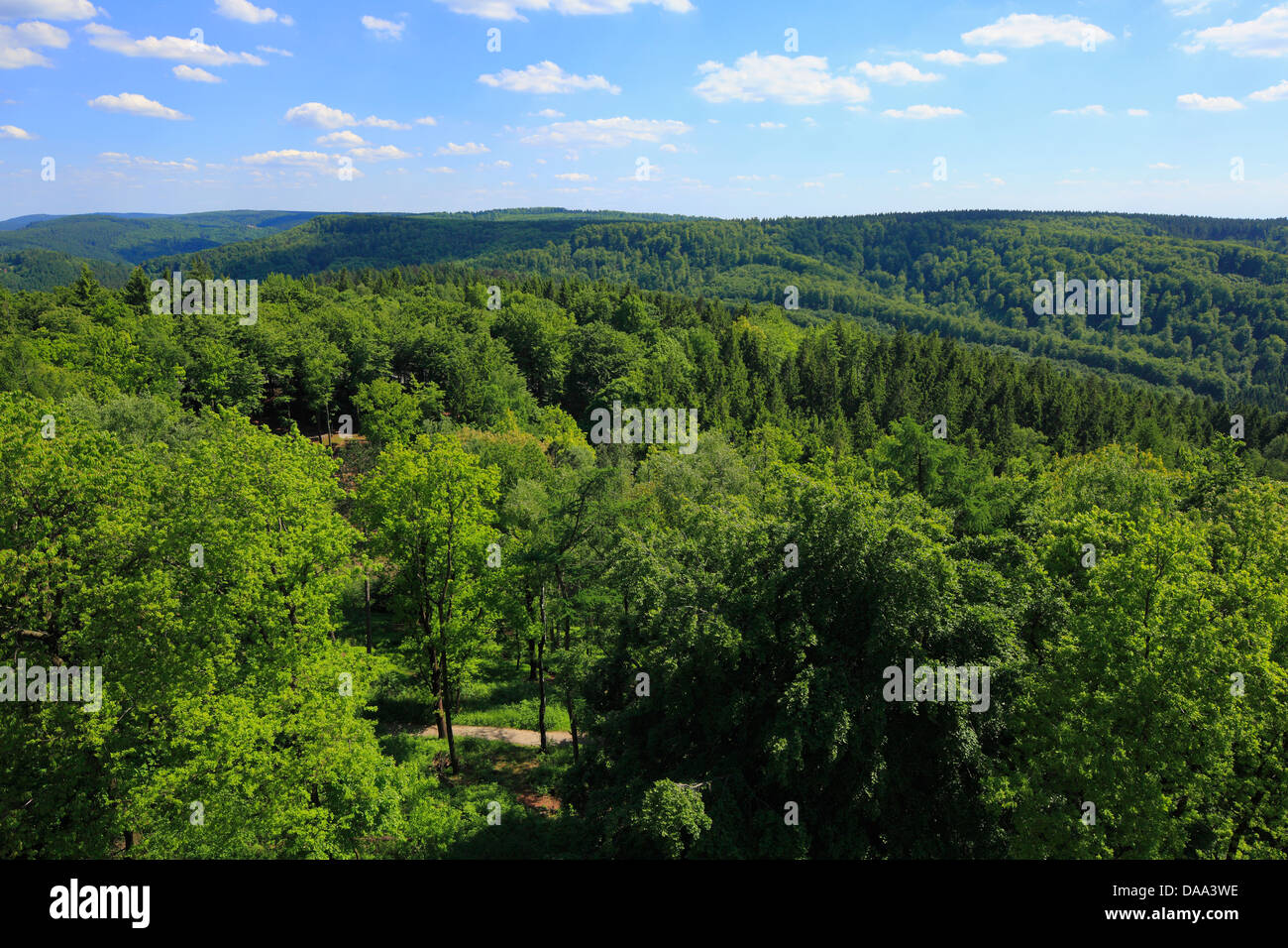 Waldlandschaft, Blick vom Hermannsdenkmal zum Lippischen Wald, Detmold, Teutoburger Wald, Nordrhein-Westfalen Stock Photo