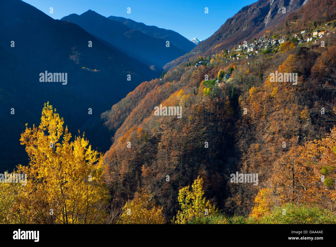 Loco, Switzerland, Europe, canton, Ticino, Onsernone valley, village, houses, homes, wood, forest, trees, autumn Stock Photo