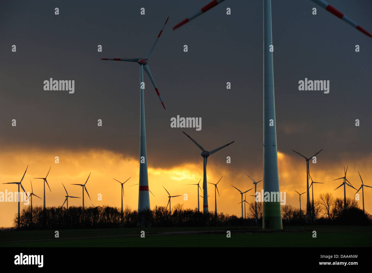 Wind farm, near Werder, Mecklenburg-Vorpommern, Germany Stock Photo