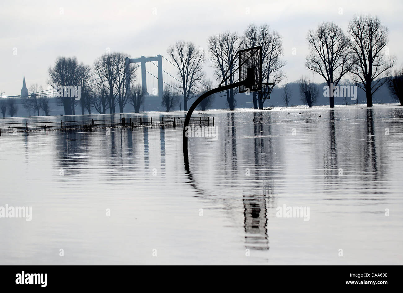 A sporting ground is flooded by Rhine river in Cologne, Germany, 10