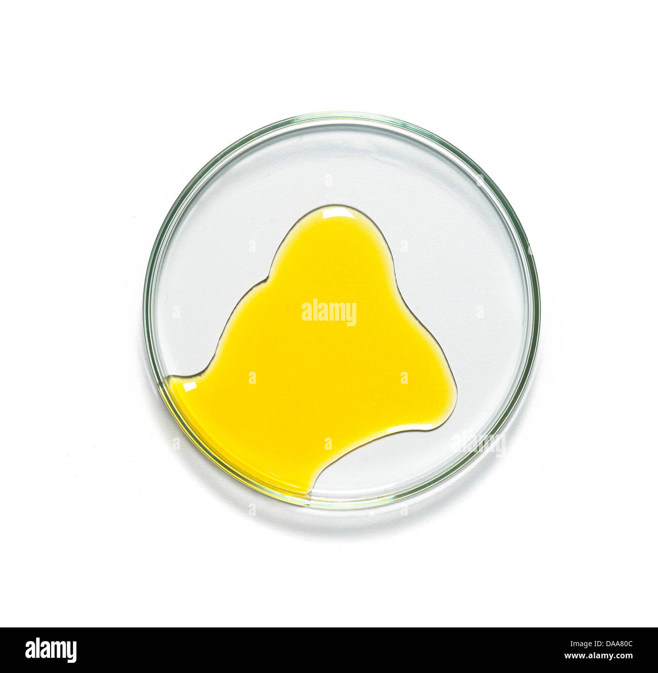 yellow cream gel oil in petridish cut out onto a white background Stock Photo