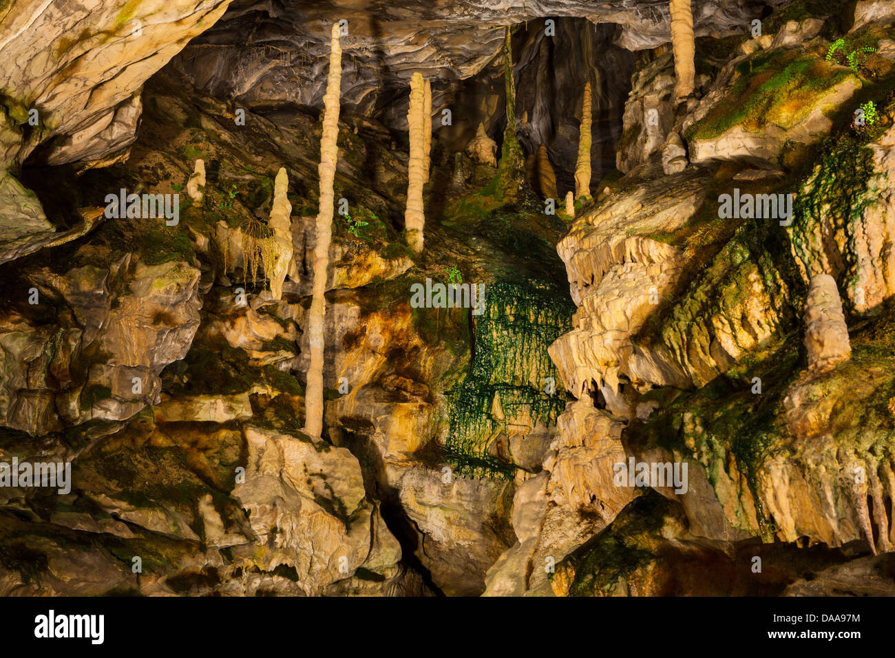 Saint Beatus caves, Beatus, Switzerland, Europe, canton, Bern, Bernese Oberland, cave, limestone cave, dripstones, Stalagmites Stock Photo