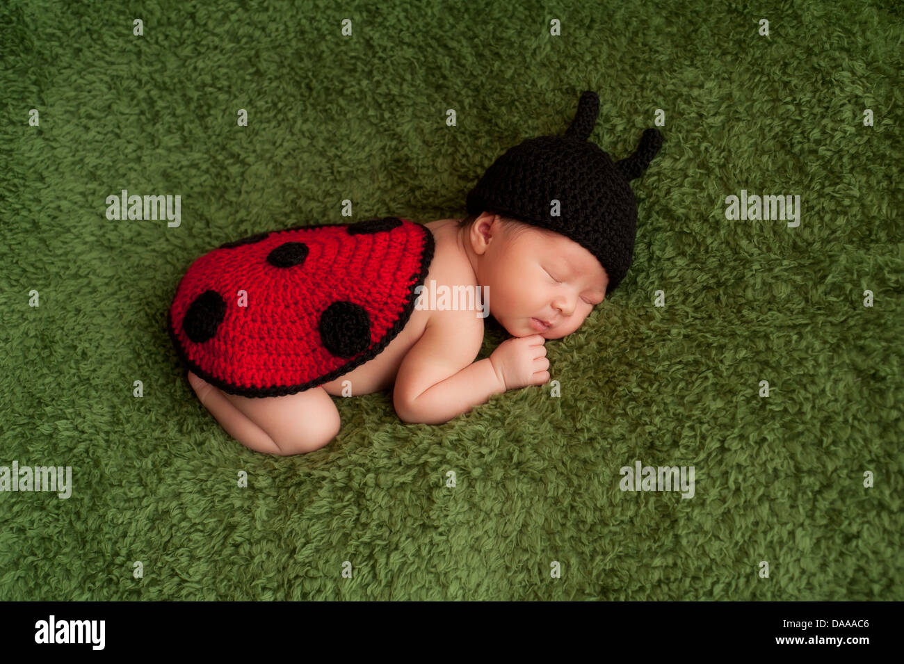 Newborn Baby Girl Wearing a Ladybug Costume Stock Photo