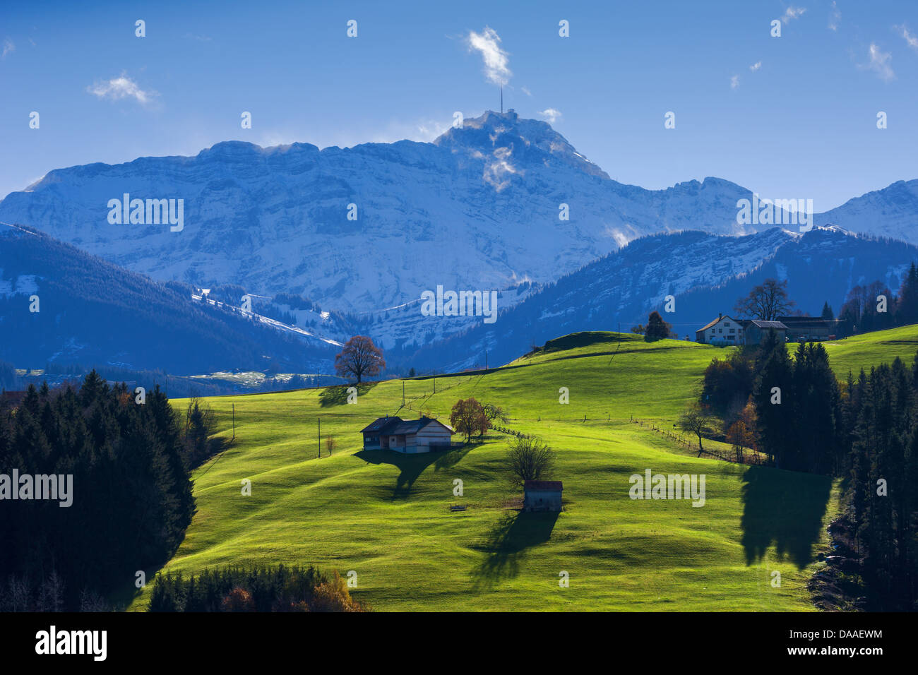 Waldstatt, Switzerland, Europe, canton, Appenzell, Ausserrhoden, meadow