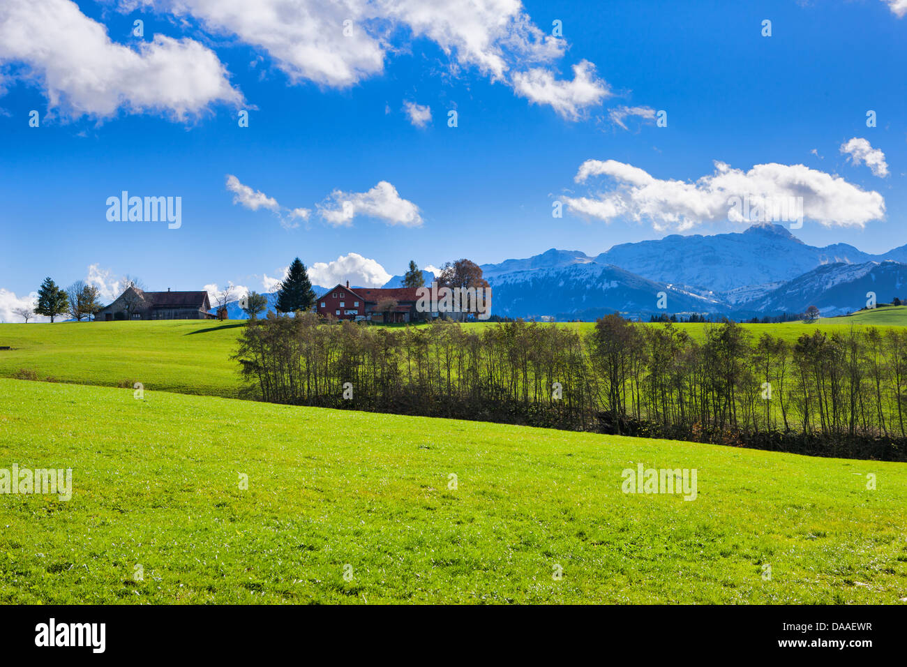 Waldstatt, Switzerland, Europe, canton, Appenzell, Ausserrhoden, meadow, houses, homes, farmhouses, trees, mountains, Alpstein, Stock Photo