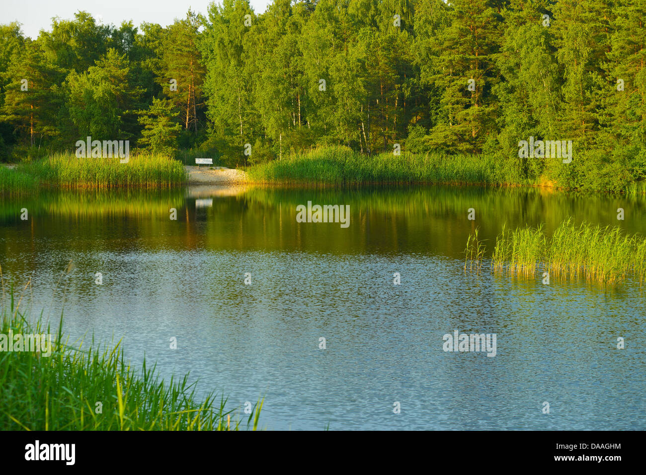 Wilsche hires stock photography and images Alamy