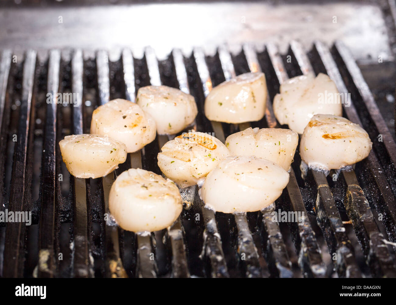 cooking scallops on the grill Stock Photo Alamy