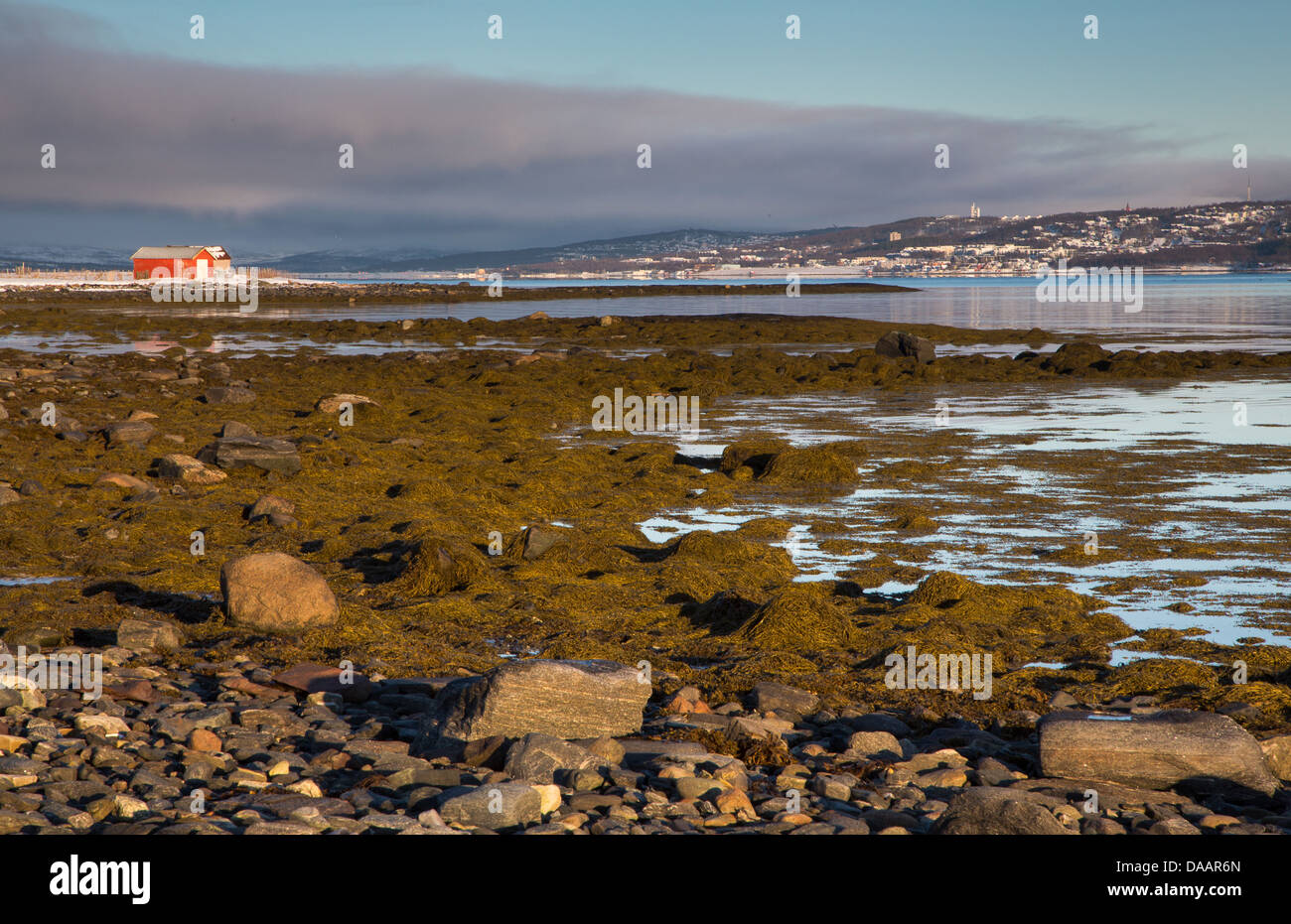 Ice, Europe, coast, sea, Norway, Scandinavia, Tromsö, shore, water, winter, house, home, town, city, lake grass, seaweed, stones Stock Photo