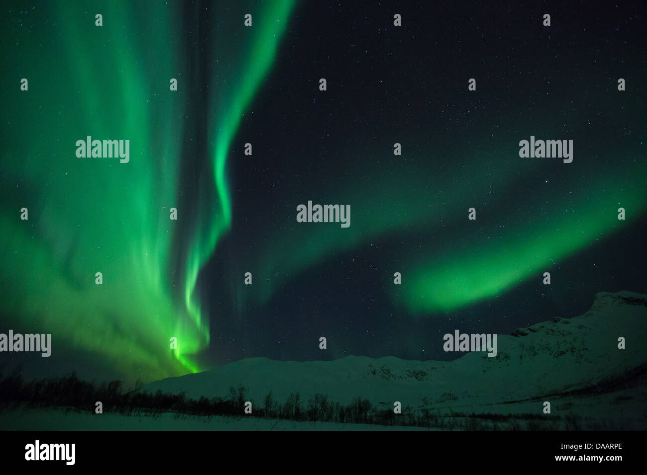 Aurora Borealis, Europe, sky, high valley, night, Northern lights, Norway, polar  light, Scandinavia, Tromsö, winter, sky appeara Stock Photo - Alamy