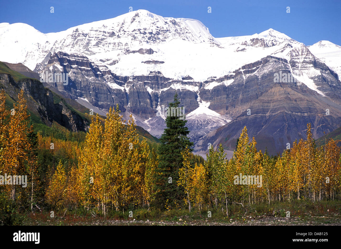 Homestead, Wrangell, Mountains, Pilgrim Family, Alaska, USA, autumn, leaves, snowy, mountain, sunny, snowcap, snowcapped, peak Stock Photo