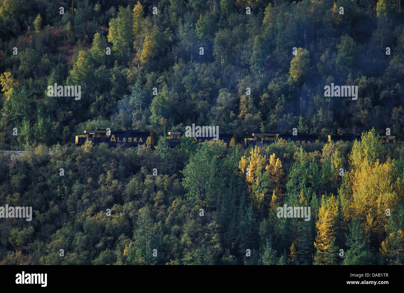 Denali, National Park, Preserve, Alaska, USA, forest, train, freight, tracks, fall, autumn, smoke, trees Stock Photo