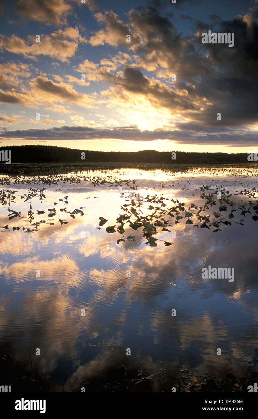Sunset, Watson Lake, Kenai National Wildlife Refuge, Kenai Peninsula, Alaska, USA, sunset, water, reflection, clouds, swampy, re Stock Photo