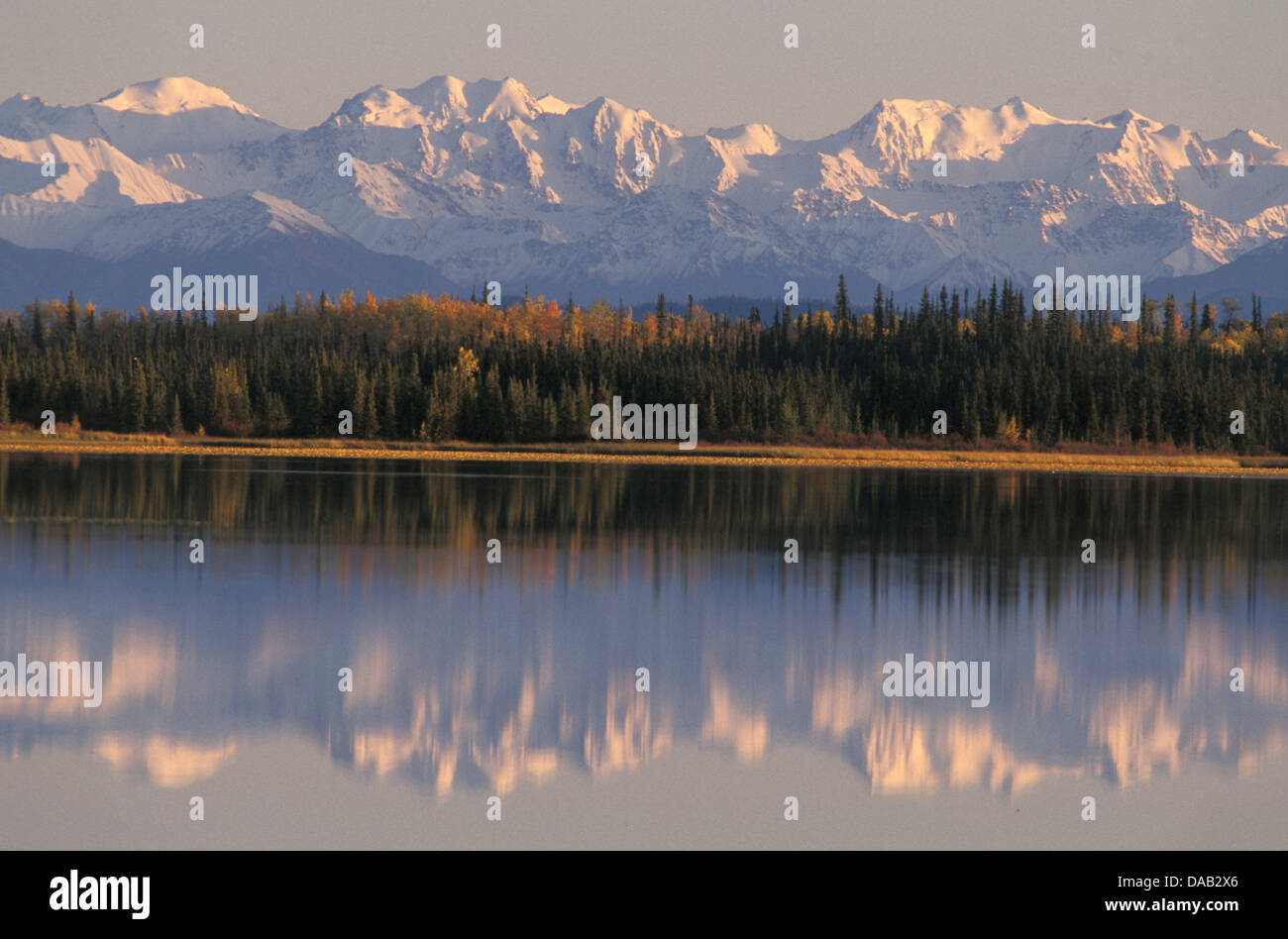 Wrangell, Mountains, Deadman Lake, Alaska, USA, reflection, low sun, mountain, lake, lush forest, autumn, colors Stock Photo