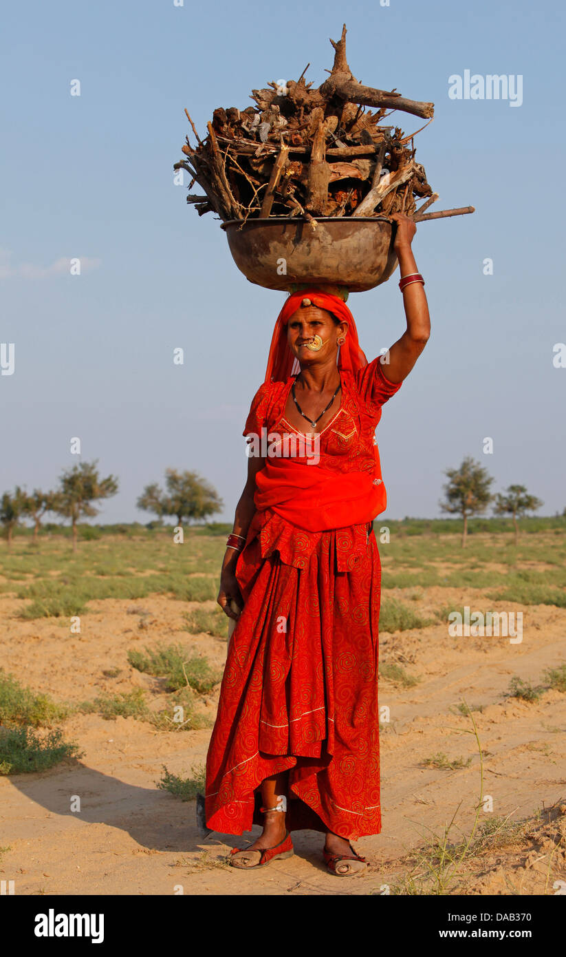 Bishnoi, village, hut, land, country, rural, poor, camel, sundown, sunset, straw hut, India, Asia, Rajasthan, Stock Photo