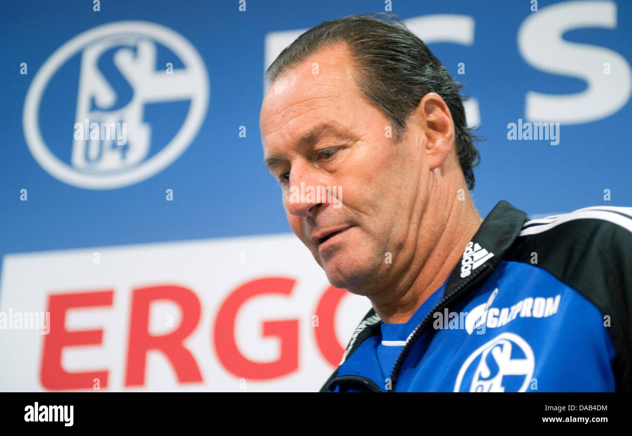 Schalke Logo High Resolution Stock Photography And Images Alamy