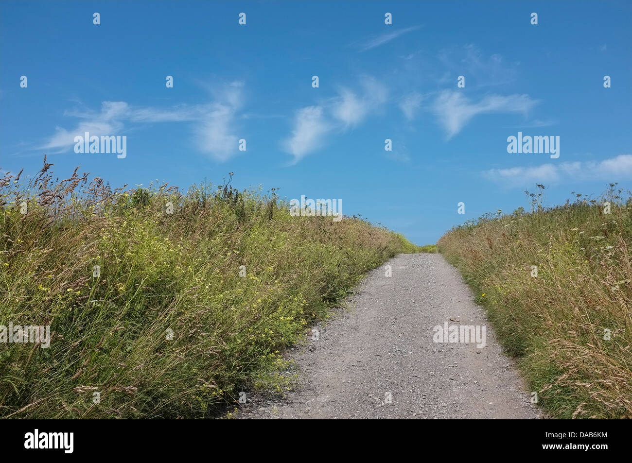 A empty path running through fields in Cornwall, UK Stock Photo