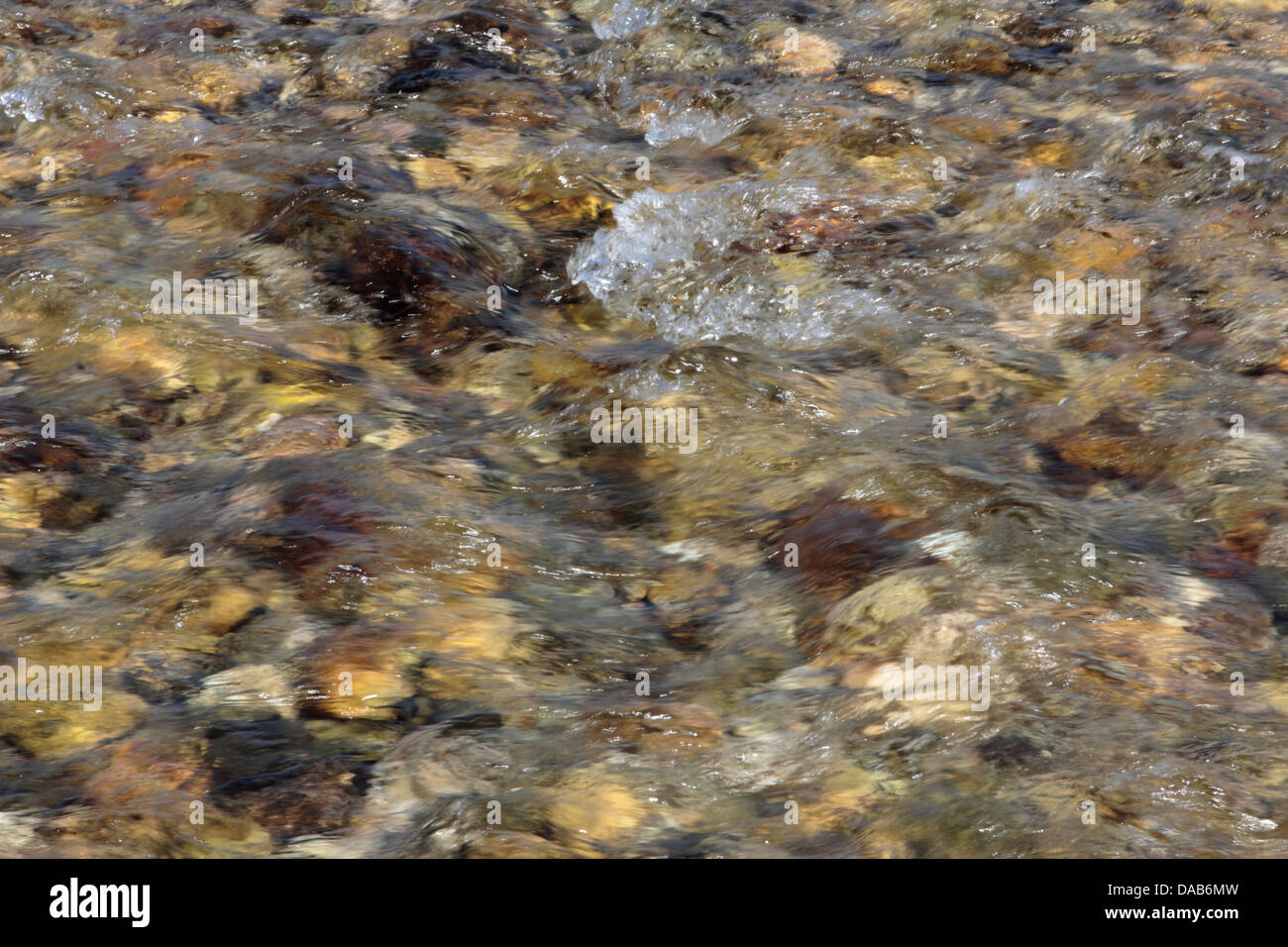 Detail of a stream in France Stock Photo