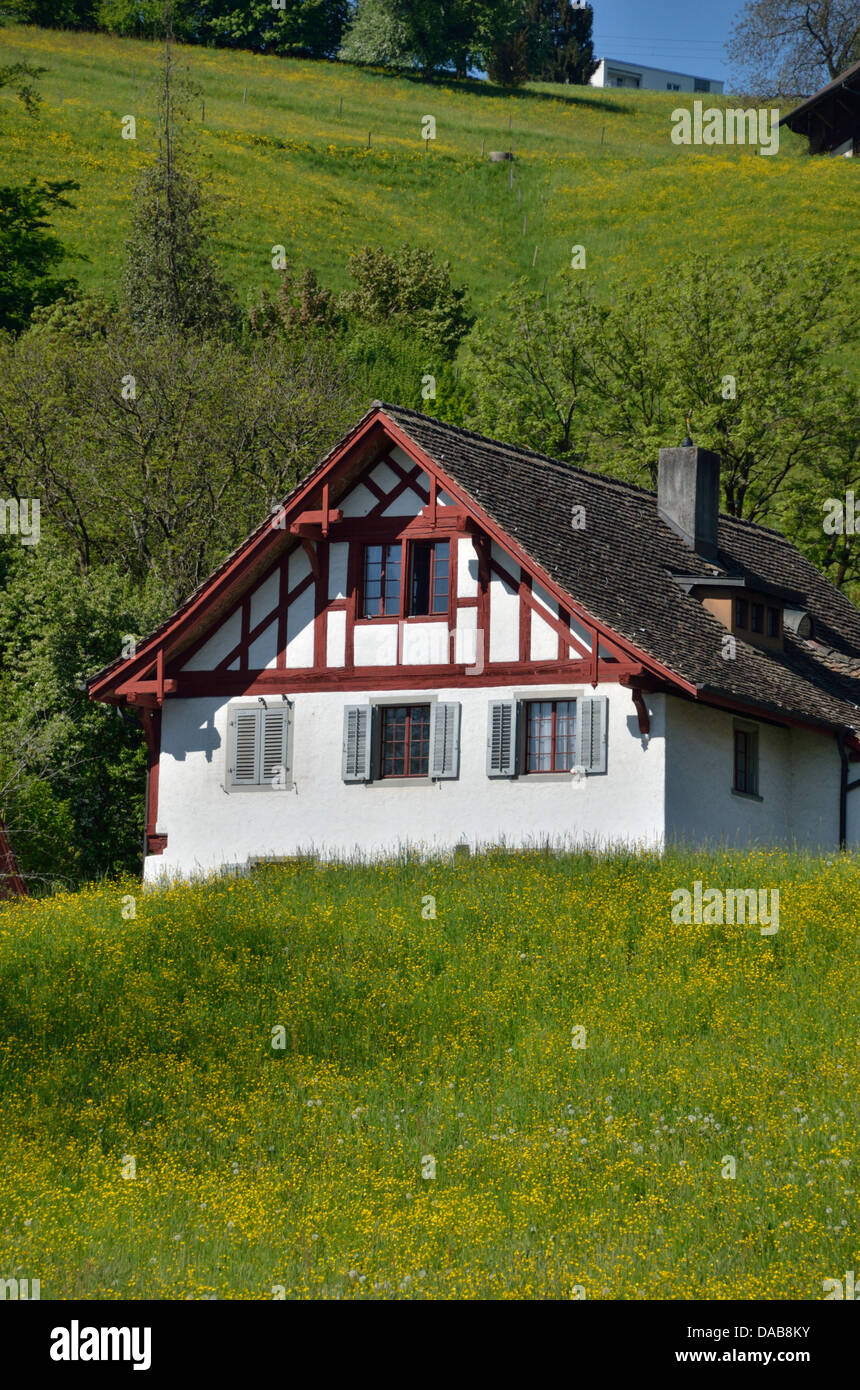 Typical traditional Swiss house on a hillside, Mülenen, Richterswil, Zurich, Switzerland. Stock Photo