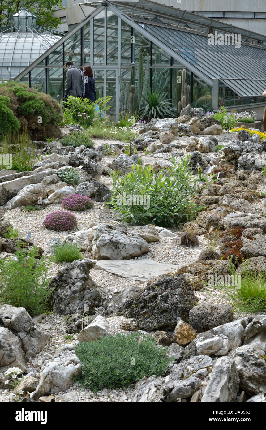 University of basel botanical gardens hires stock photography and images Alamy University of basel botanical gardens hires stock photography and images Alamy