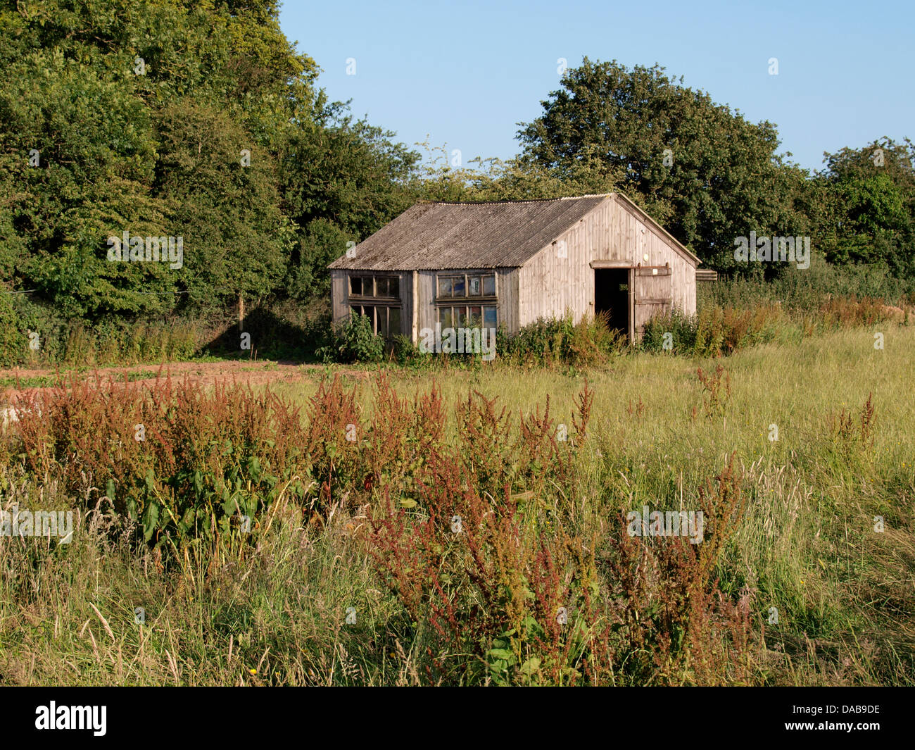 Old wooden barn, Somerset, UK 2013 Stock Photo