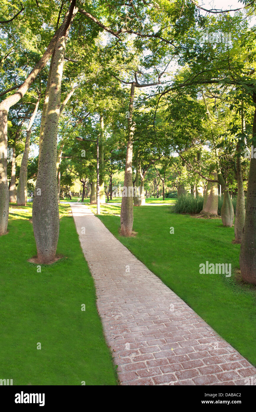 Path in the park for walk or exercise, the ambiance is relaxed, calm and peaceful in a daylight Stock Photo