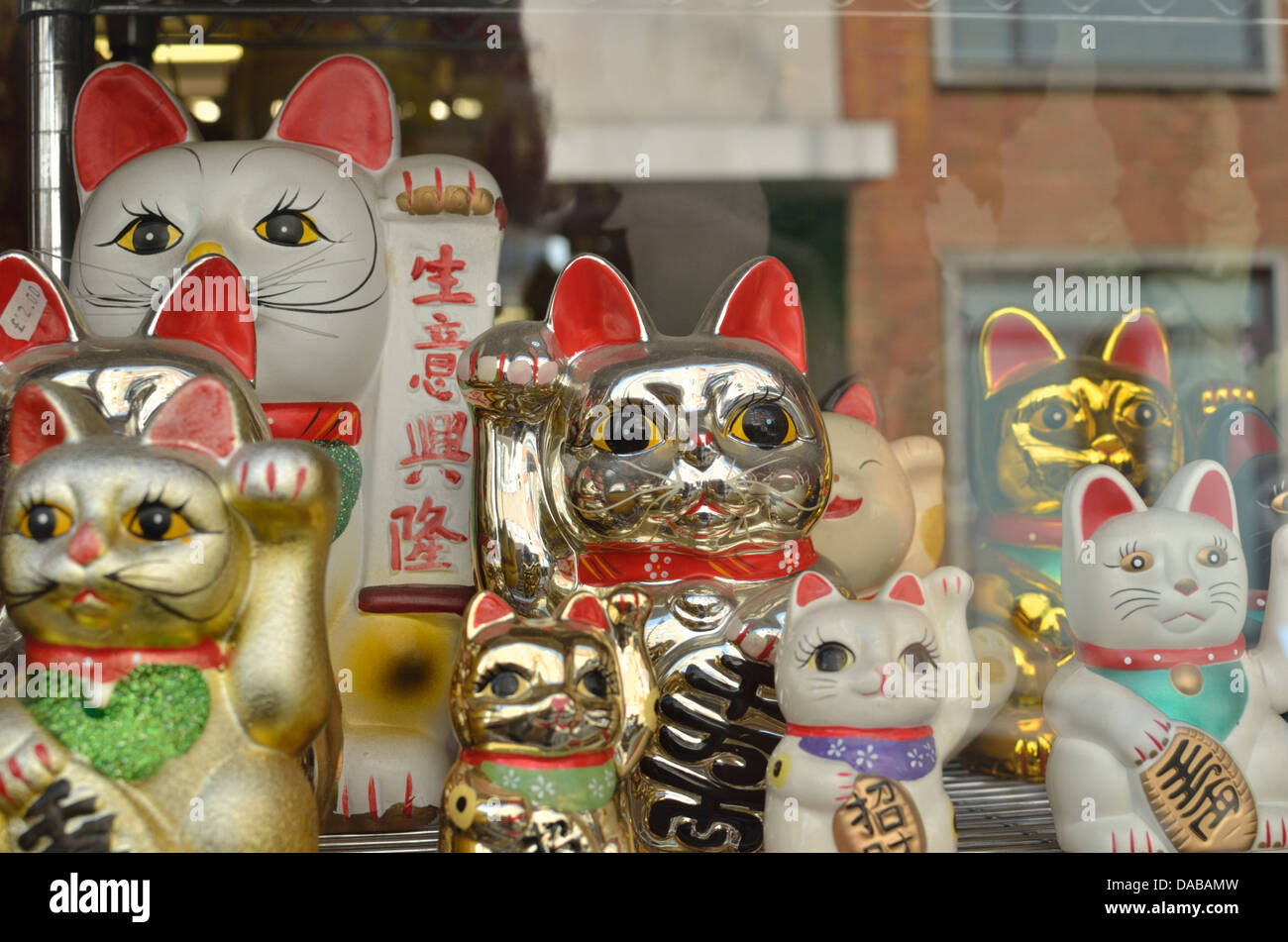 Lots of cats hi-res stock photography and images - Alamy
