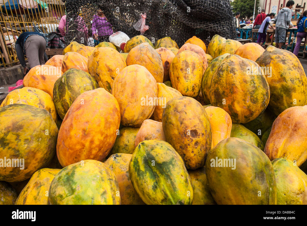 Papaya stall vendor shops shopping in local central market marketplace