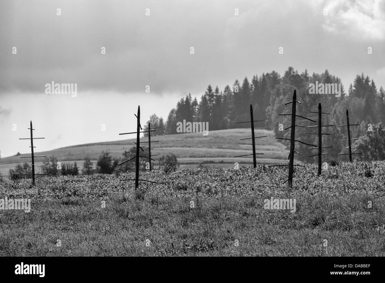Farming Black and White Stock Photos & Images - Alamy