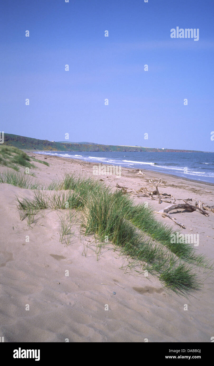 St Cyrus Bay & Beach, St Cyrus National Nature Reserve, Aberdeenshire ...