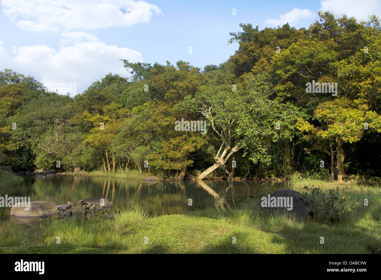 Small lake near Kuveshi village inside Anshi Tiger reserve, Karnataka ...