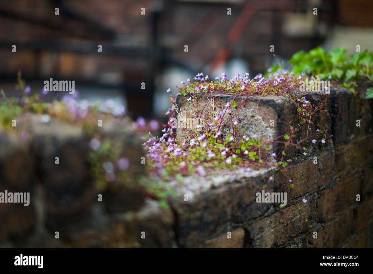 Ironbridge shropshire hires stock photography and images Alamy