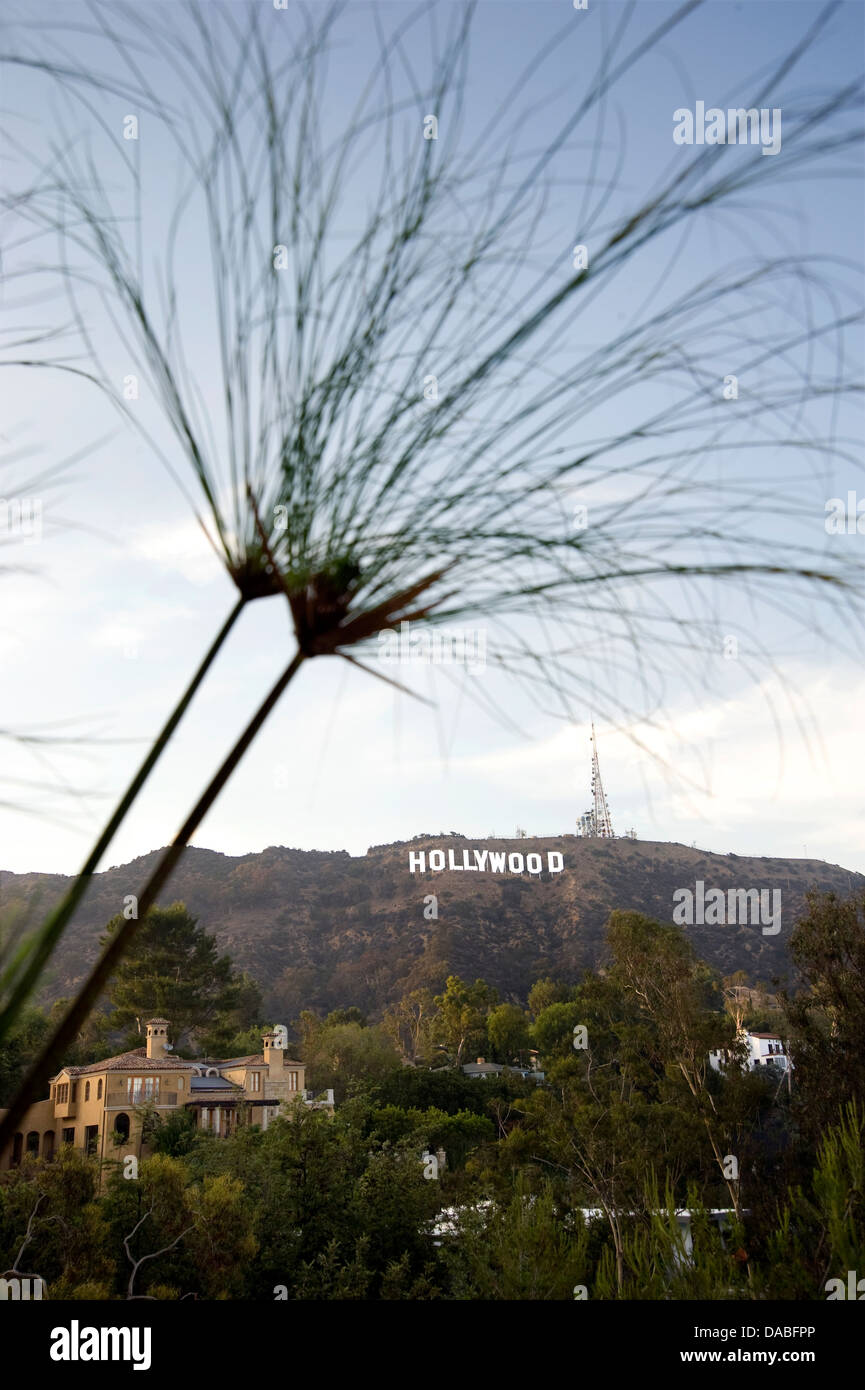 The iconic Hollywood Sign Stock Photo - Alamy