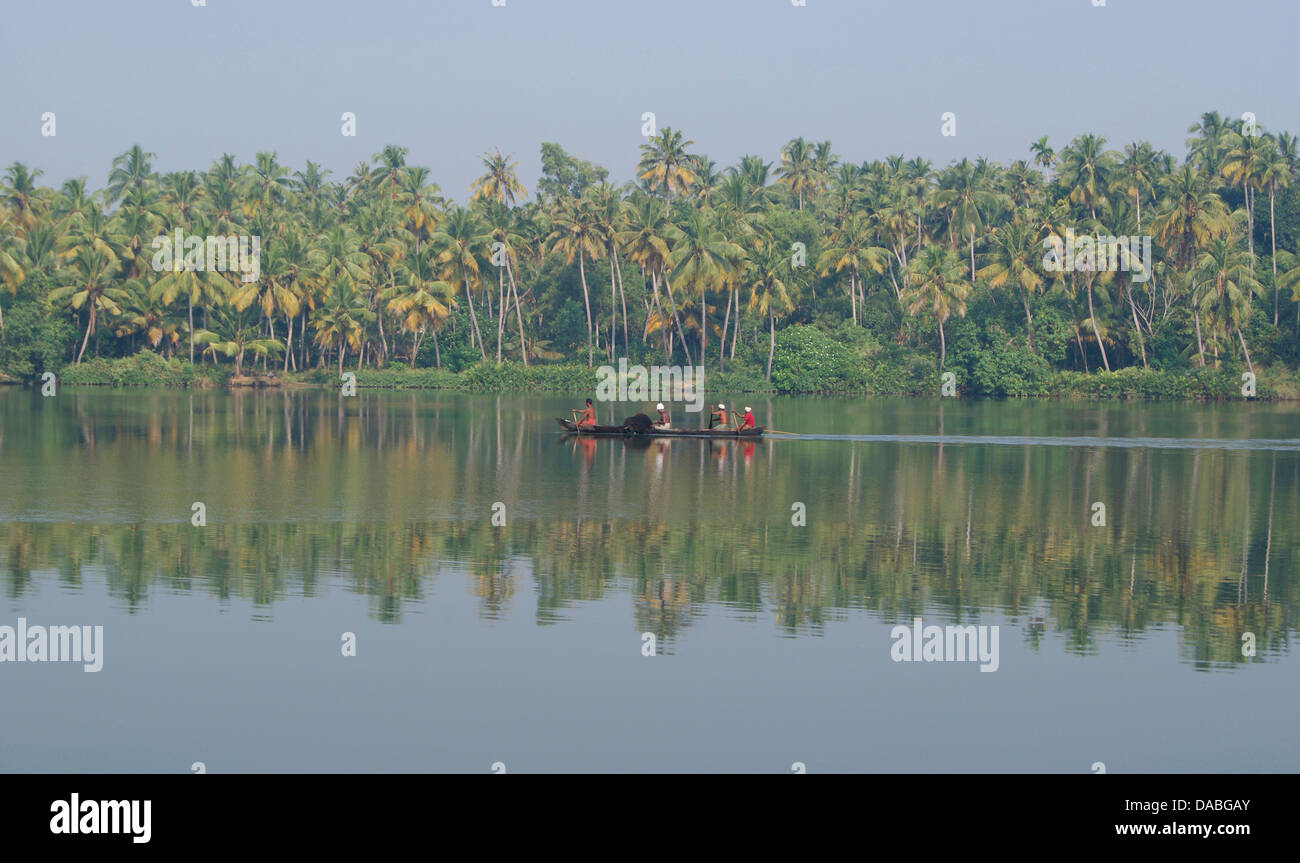 Country Boat Through the Beautiful Kerala Backwaters and Coconut Trees Natural Scenery Stock Photo