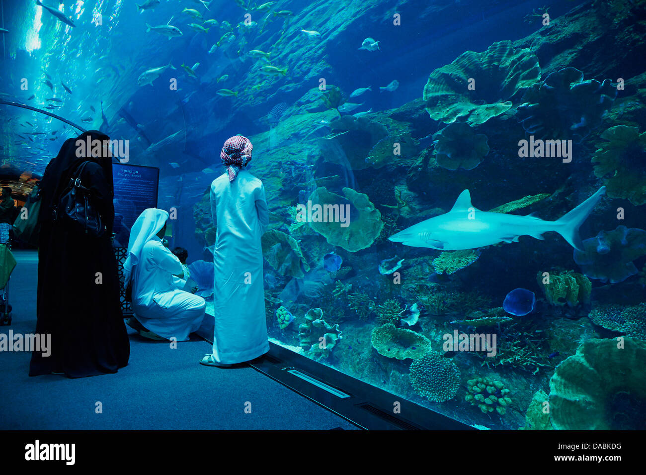 Aquarium, Mall of the Emirates Commercial Center, Dubai, United Arab Emirates, Middle East Stock Photo