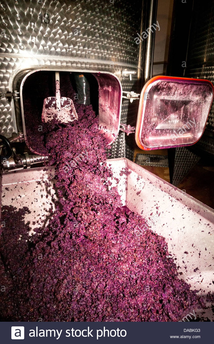 Pressing Grapes Stock Photos & Pressing Grapes Stock Images Alamy