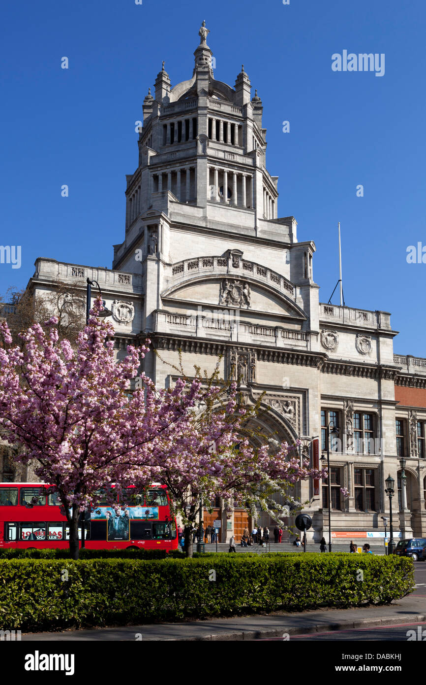 Victoria and Albert Museum with cherry blossom trees, Kensington, London, England, United Kingdom, Europe Stock Photo