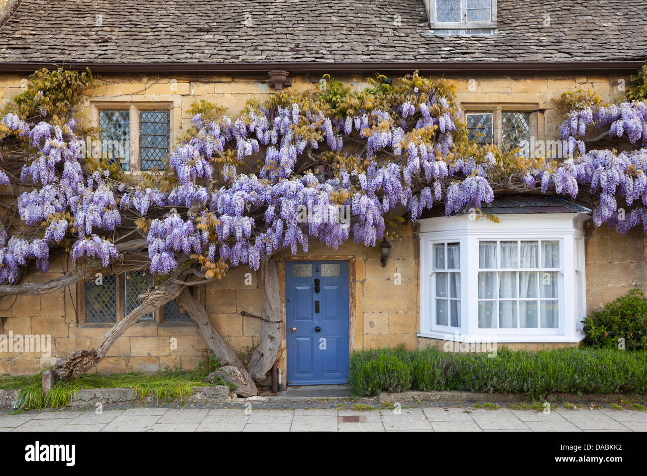 Wisteria fronted cottage, Broadway, Worcestershire, England, United Kingdom, Europe Stock Photo