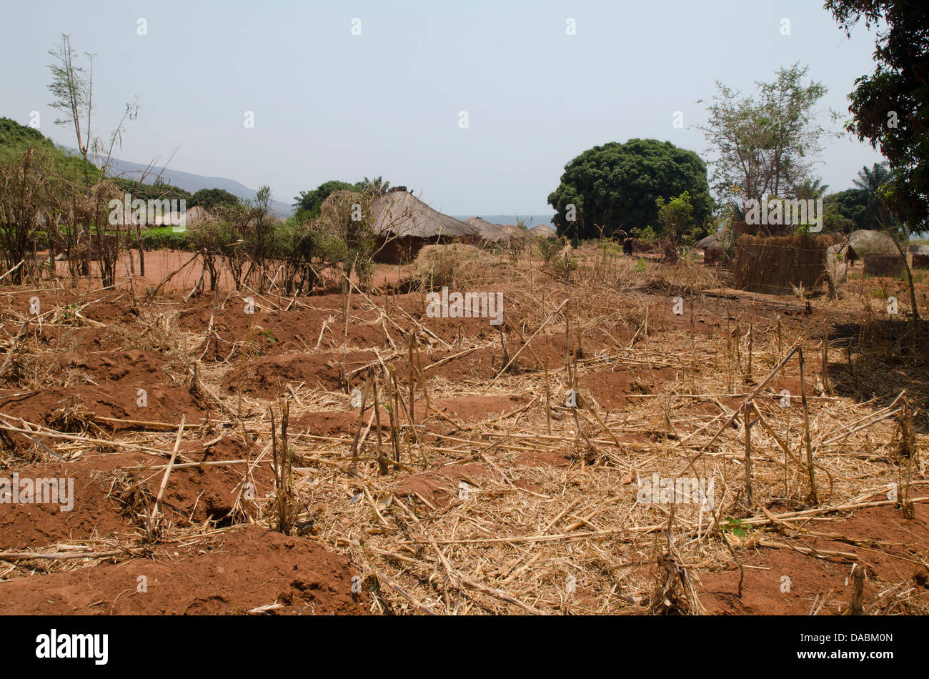 Dry crops in a village in Africa, Talpia, Zambia, Africa Stock Photo
