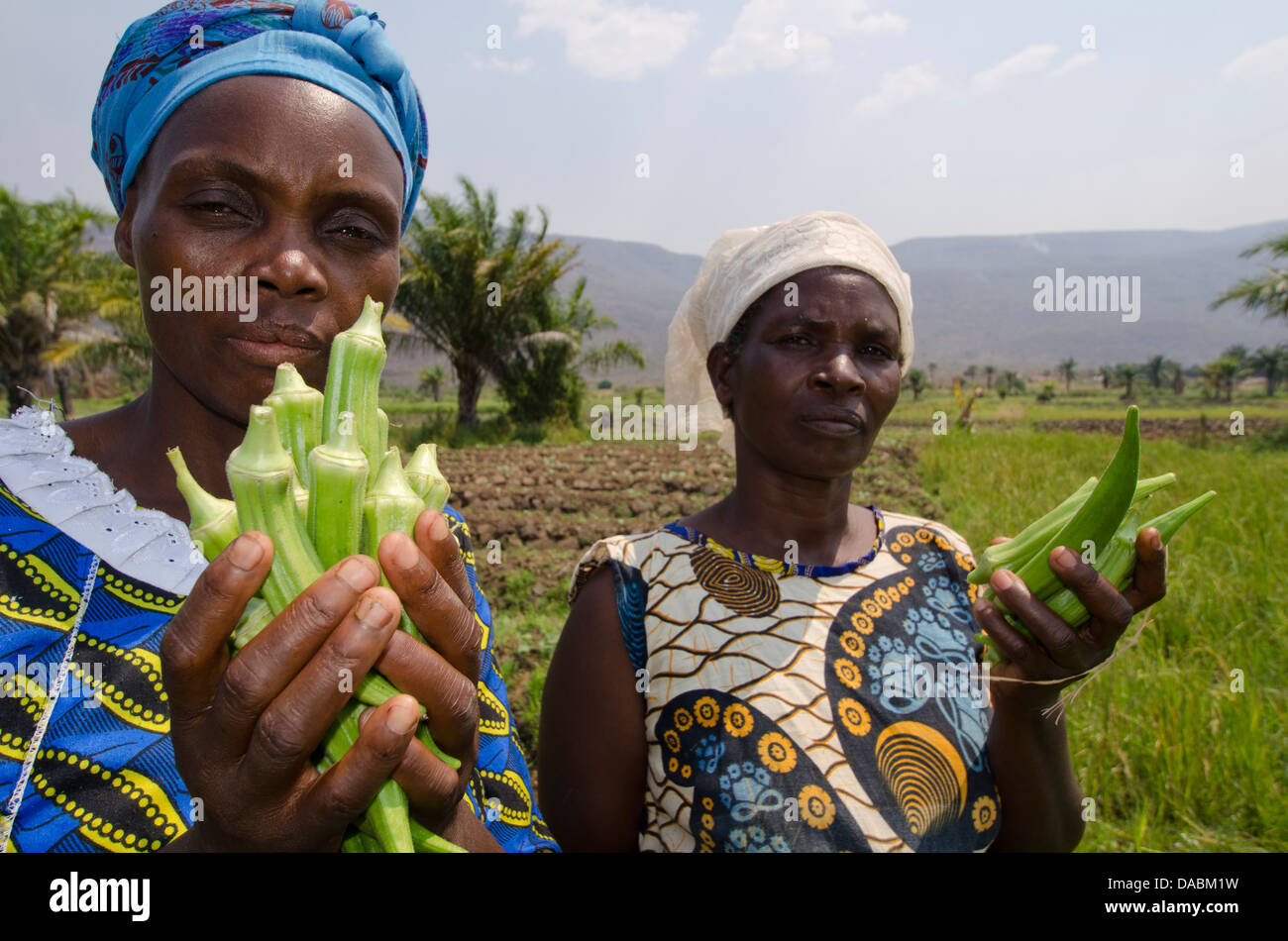 Local viillagers collect okra crop growing near Talpia Village on Lake Tanganyika, Zambia, Africa Stock Photo