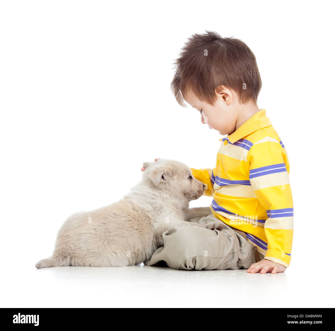 child boy with puppy dog Stock Photo