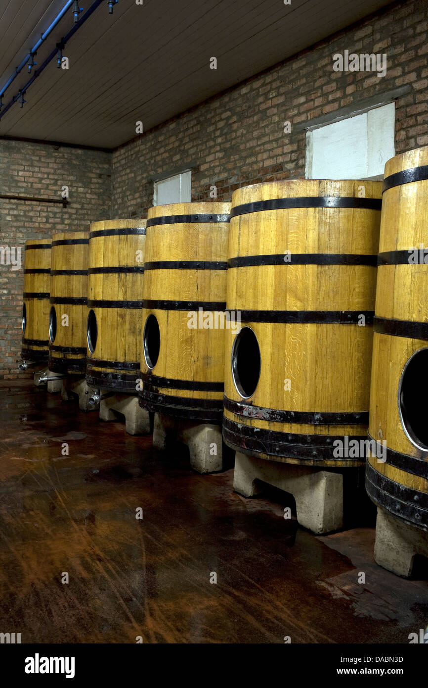 Open-top wooden fermentors holds 2 tons grapes Lammershoek wine cellar Lammershoek vineyard Swartland wine route Western Cape Stock Photo