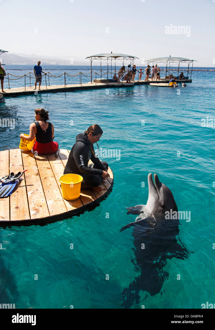 The Dolphin Reef Eilat Israel Middle East Stock Photo Alamy