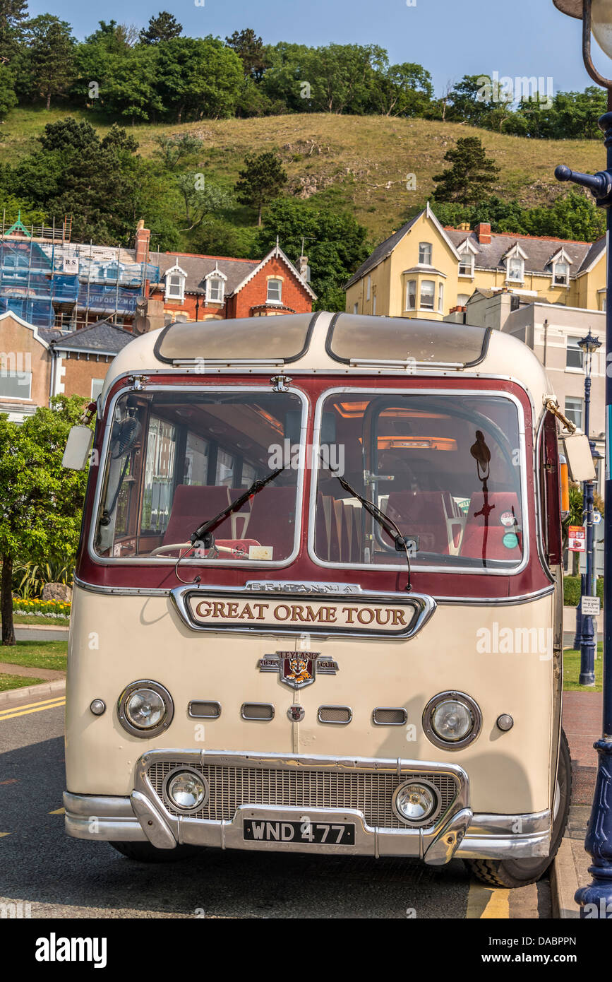 THe Leyland Tiger Cub coach that runs the Great Orme tours at Llandudno in Clwyd North Wales. Stock Photo