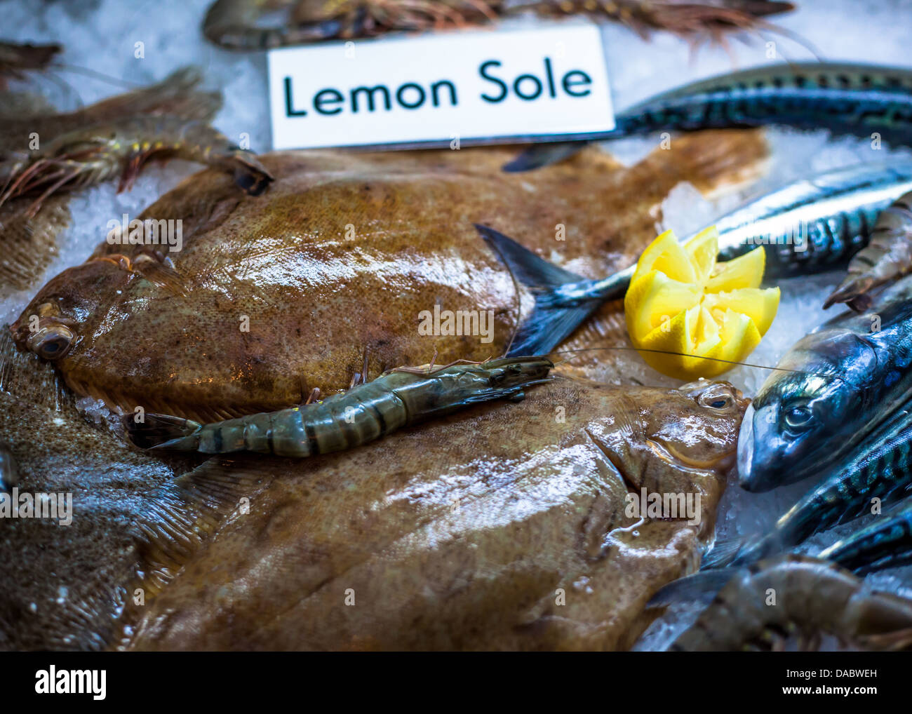 fresh chilled seafish Stock Photo