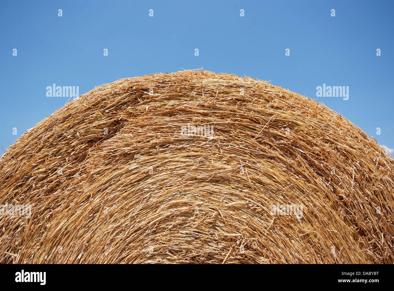 round bale of straw with blue sky in summer Stock Photo - Alamy