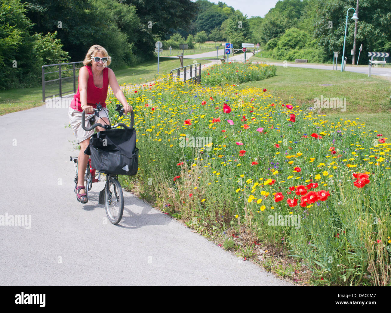 Mature woman cyclist passing wild flowers following a cycle path in Santenay France Stock Photo